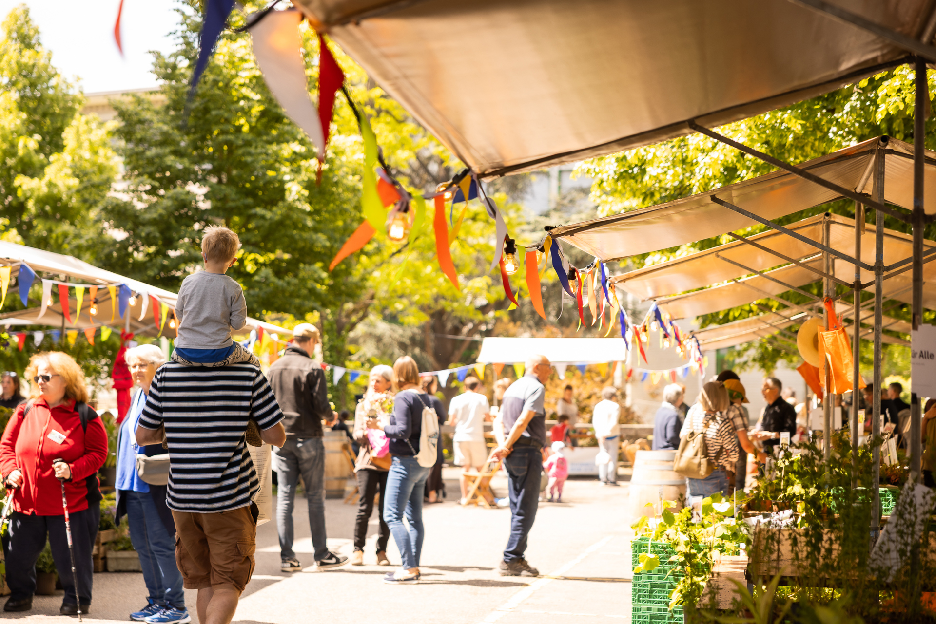 Der QVRA Setzlingsmarkt bringt Frühlingsstimmung in die Stadt